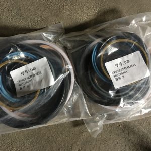 Genuine XCMG LW500F Weel Loader Spare Parts 860120304 KIT