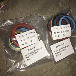 SDLG LG936 Weel Loader Spare Parts 4120000166001 KIT