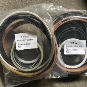 SDLG LG936 Weel Loader Spare Parts 4120003097101 KIT