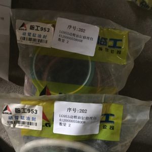 Genuine SDLG LG946 Weel Loader Spare Parts 4120000558008 KIT